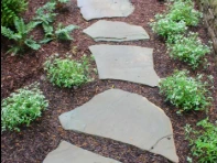 Stepping stone path through a landscaped yard